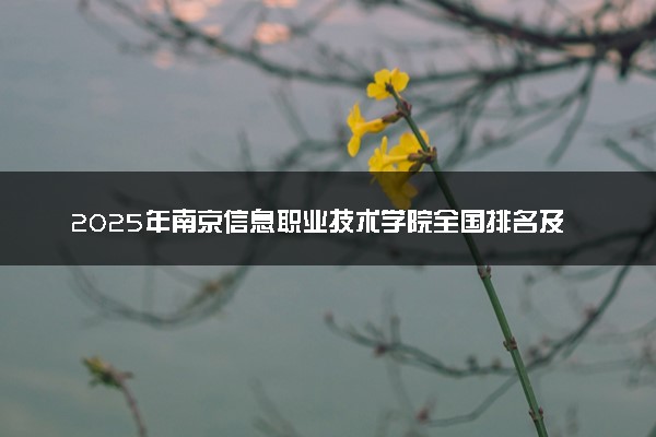 2025年南京信息职业技术学院全国排名及录取分数线
