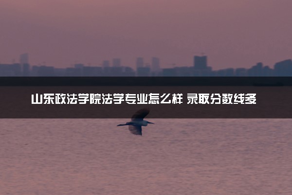 山东政法学院法学专业怎么样 录取分数线多少