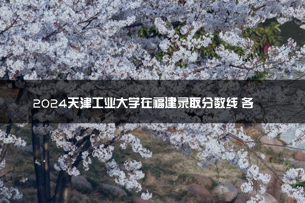 2024天津工业大学在福建录取分数线 各专业分数及位次