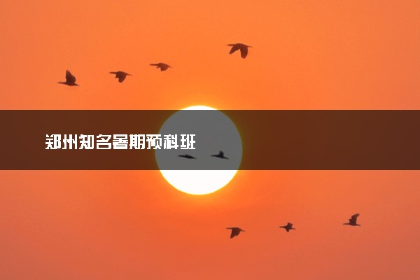 郑州知名暑期预科班