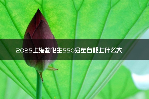 2025上海物化生550分左右能上什么大学 可以报考的院校名单