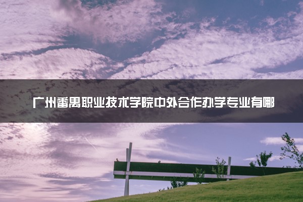 广州番禺职业技术学院中外合作办学专业有哪些 好就业吗