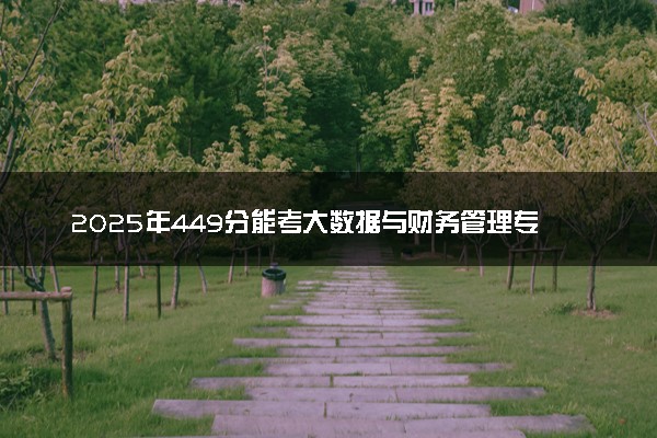 2025年449分能考大数据与财务管理专业吗 449分大数据与财务管理专业大学推荐