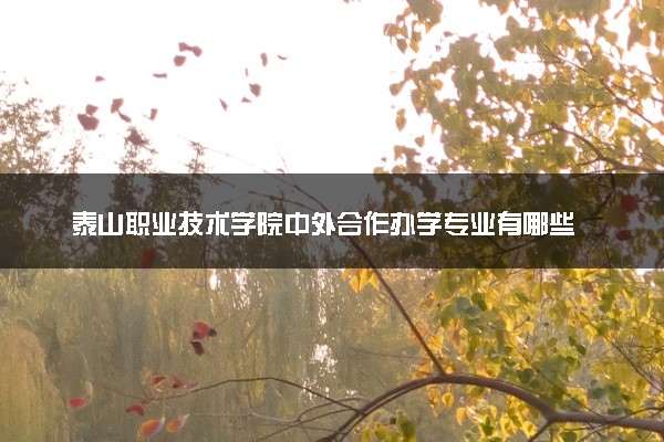 泰山职业技术学院中外合作办学专业有哪些 好就业吗