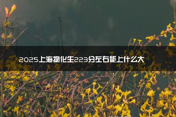 2025上海物化生223分左右能上什么大学 可以报考的院校名单