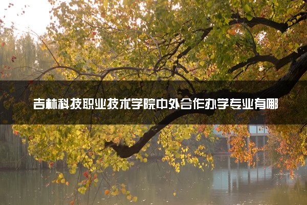 吉林科技职业技术学院中外合作办学专业有哪些 好就业吗