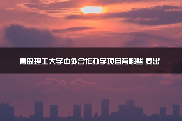 青岛理工大学中外合作办学项目有哪些 要出国吗