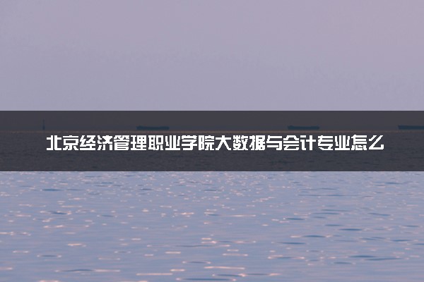 北京经济管理职业学院大数据与会计专业怎么样 录取分数线多少