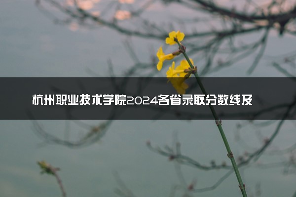 杭州职业技术学院2024各省录取分数线及最低位次是多少