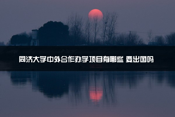 同济大学中外合作办学项目有哪些 要出国吗