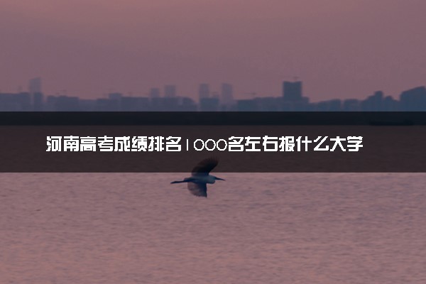 河南高考成绩排名1000名左右报什么大学好（2025年参考）