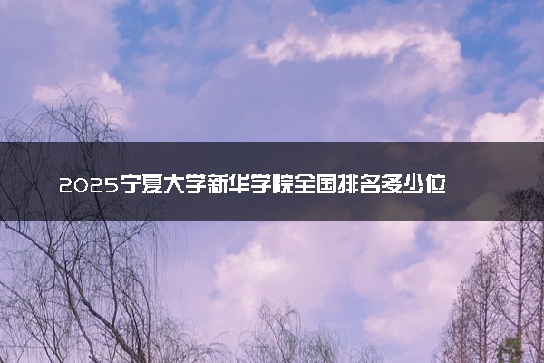 2025宁夏大学新华学院全国排名多少位 国内第几名