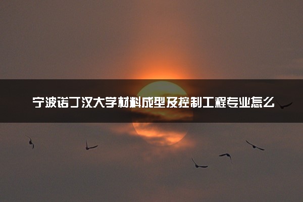 宁波诺丁汉大学材料成型及控制工程专业怎么样 录取分数线多少