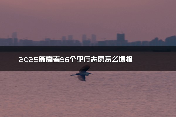 2025新高考96个平行志愿怎么填报
