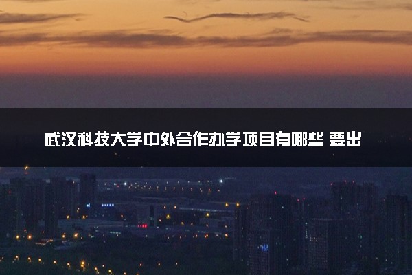武汉科技大学中外合作办学项目有哪些 要出国吗