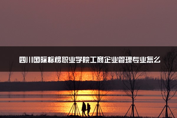 四川国际标榜职业学院工商企业管理专业怎么样 录取分数线多少