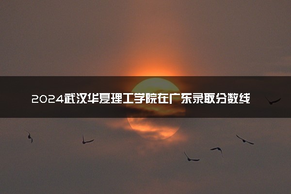 2024武汉华夏理工学院在广东录取分数线 各专业分数及位次