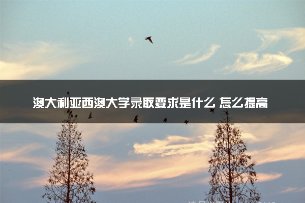 澳大利亚西澳大学录取要求是什么 怎么提高录取率