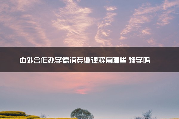 中外合作办学德语专业课程有哪些 难学吗