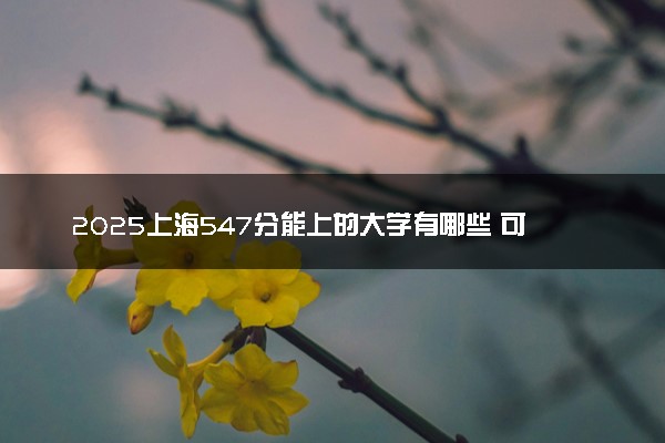 2025上海547分能上的大学有哪些 可以报考院校名单