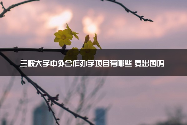 三峡大学中外合作办学项目有哪些 要出国吗