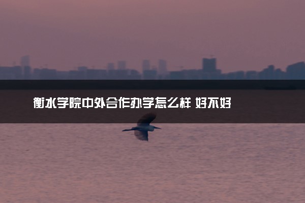 衡水学院中外合作办学怎么样 好不好
