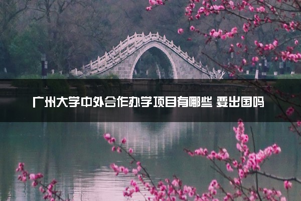 广州大学中外合作办学项目有哪些 要出国吗