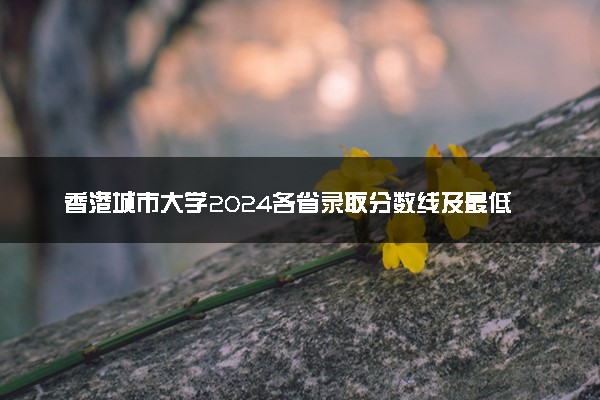 香港城市大学2024各省录取分数线及最低位次是多少
