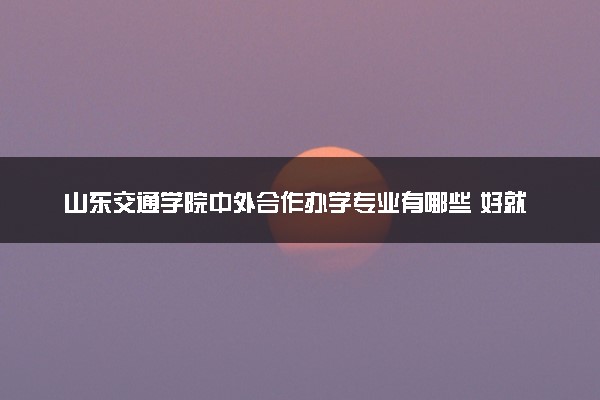 山东交通学院中外合作办学专业有哪些 好就业吗