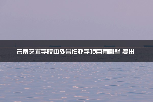 云南艺术学院中外合作办学项目有哪些 要出国吗