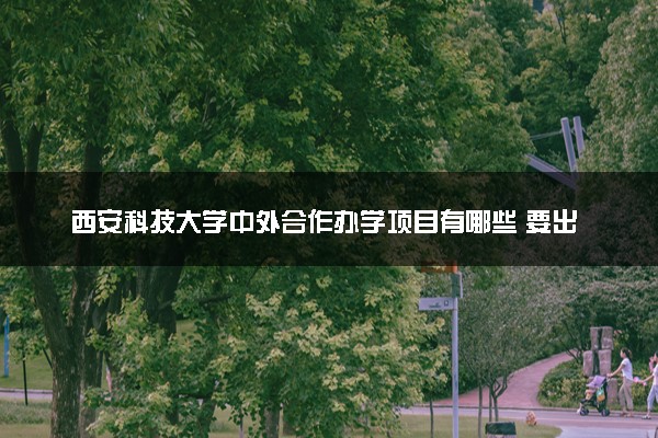 西安科技大学中外合作办学项目有哪些 要出国吗