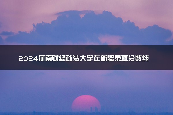2024河南财经政法大学在新疆录取分数线 各专业分数及位次