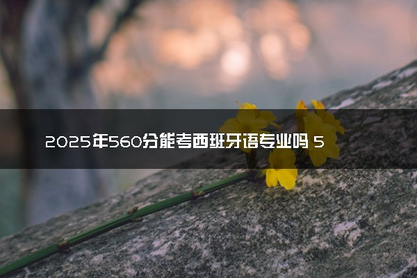 2025年560分能考西班牙语专业吗 560分西班牙语专业大学推荐