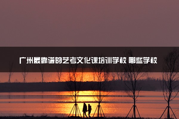 广州最靠谱的艺考文化课培训学校 哪些学校比较好