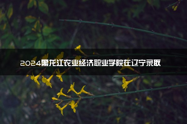 2024黑龙江农业经济职业学院在辽宁录取分数线 各专业分数及位次