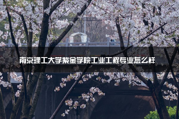 南京理工大学紫金学院工业工程专业怎么样 录取分数线多少