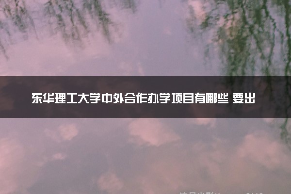 东华理工大学中外合作办学项目有哪些 要出国吗