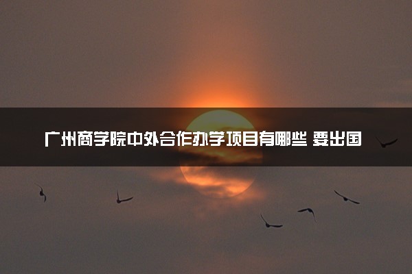 广州商学院中外合作办学项目有哪些 要出国吗