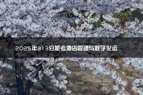 2025年313分能考酒店管理与数字化运营专业吗 313分酒店管理与数字化运营专业大学推荐