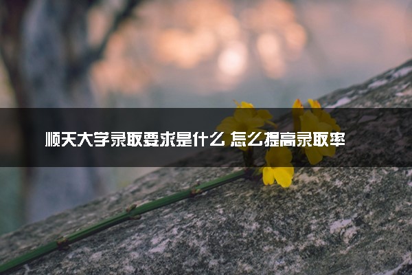 顺天大学录取要求是什么 怎么提高录取率