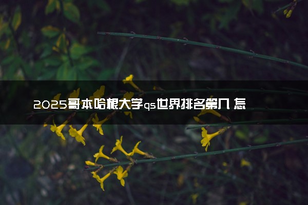 2025哥本哈根大学qs世界排名第几 怎么考进去