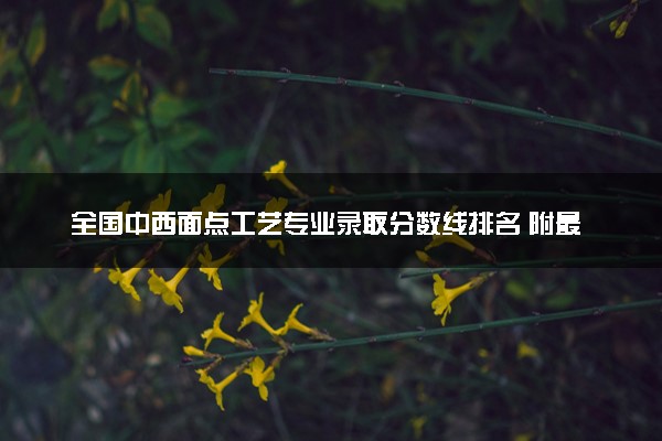 全国中西面点工艺专业录取分数线排名 附最低分的大学(2025年参考)