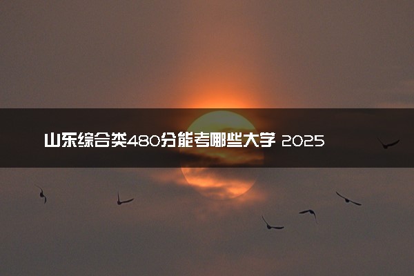 山东综合类480分能考哪些大学 2025考生稳上的大学名单