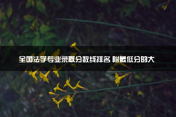 全国法学专业录取分数线排名 附最低分的大学(2025年参考)