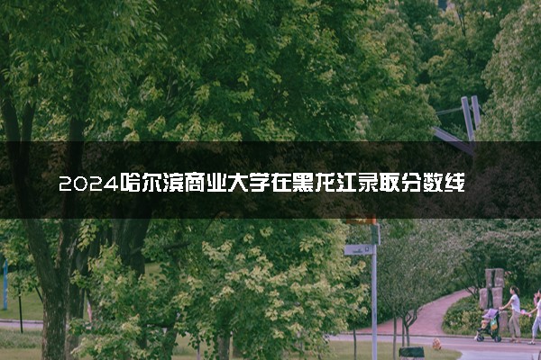 2024哈尔滨商业大学在黑龙江录取分数线 各专业分数及位次