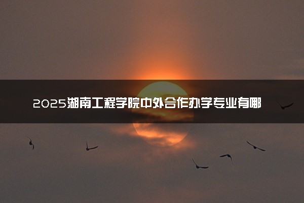 2025湖南工程学院中外合作办学专业有哪些 代码是什么