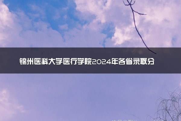 锦州医科大学医疗学院2024年各省录取分数线 多少分能考上