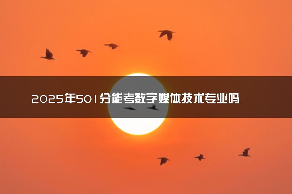 2025年501分能考数字媒体技术专业吗 501分数字媒体技术专业大学推荐