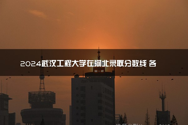 2024武汉工程大学在河北录取分数线 各专业分数及位次