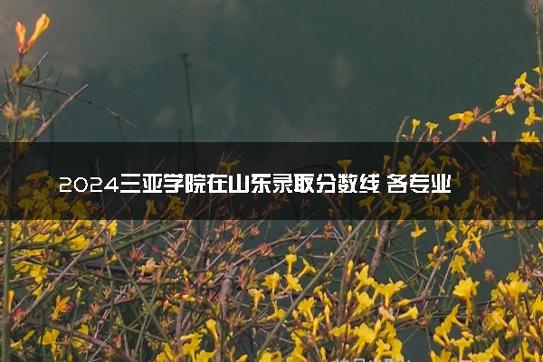 2024三亚学院在山东录取分数线 各专业分数及位次